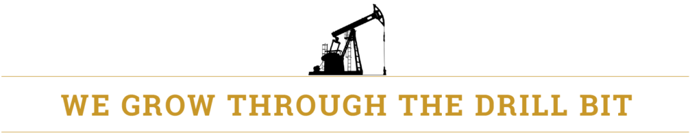 Principle Petroleum Partners Llc Is An Oil And Gas - Museum Of Bags And Purses (1024x206)