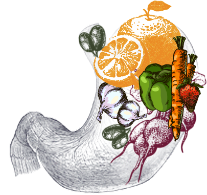 Poor Dietary Habits Of Regularly Consuming Processed - Human Stomach Diagram (460x460)
