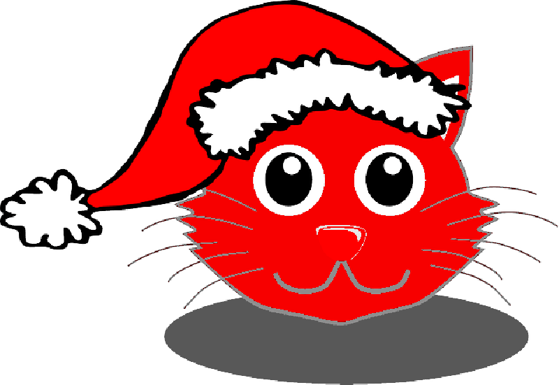 Christmas Bear Shower Curtain , Png Download - Cartoon Cat With Christmas Hat (800x551)