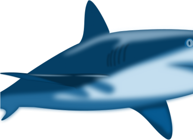 Great White Shark Clipart Baby - Shark (641x467)