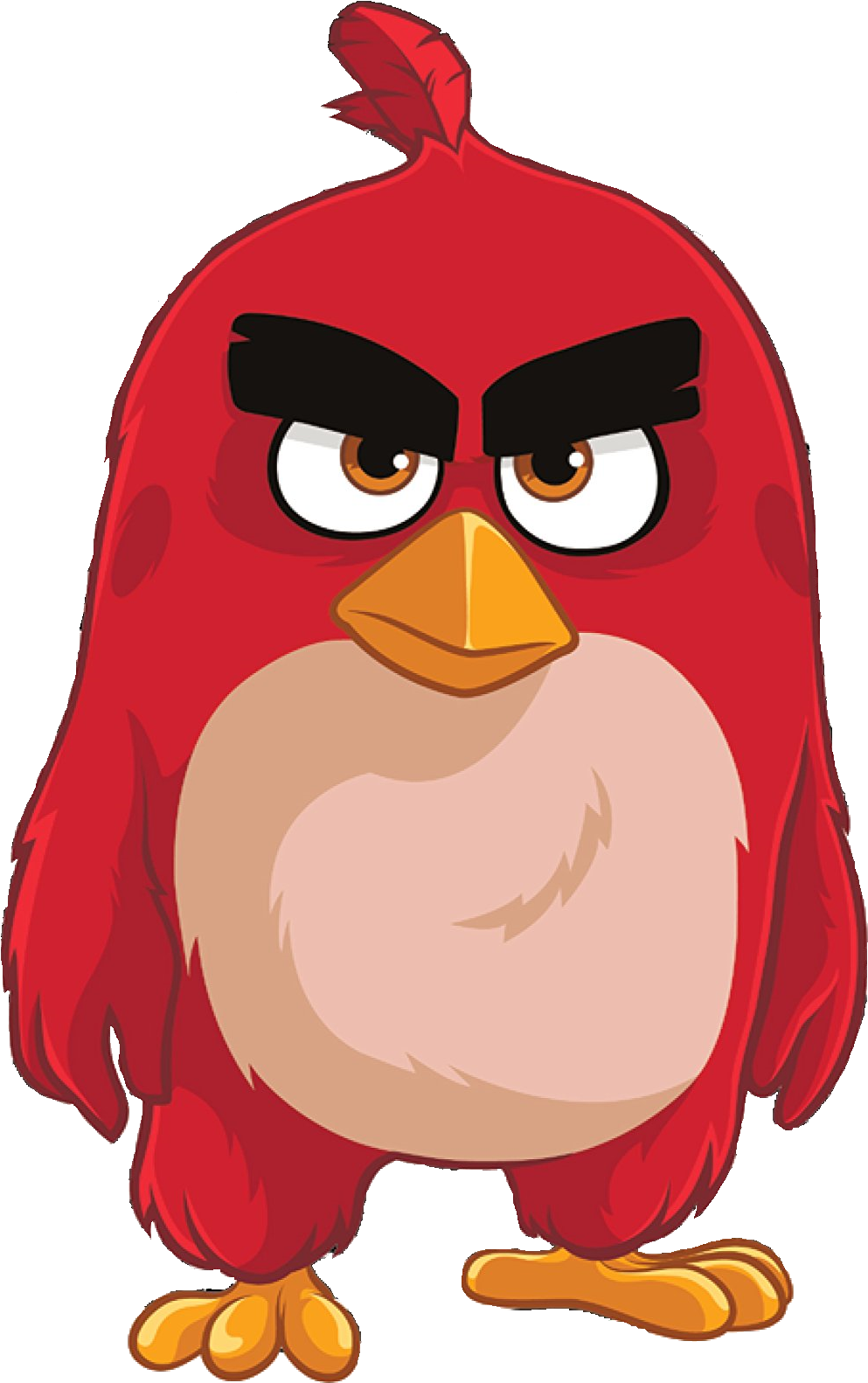 Image Abmovieredzazzle Png Birds Wiki Fandom Powered - Red Angry Birds Wikia (1101x1635)