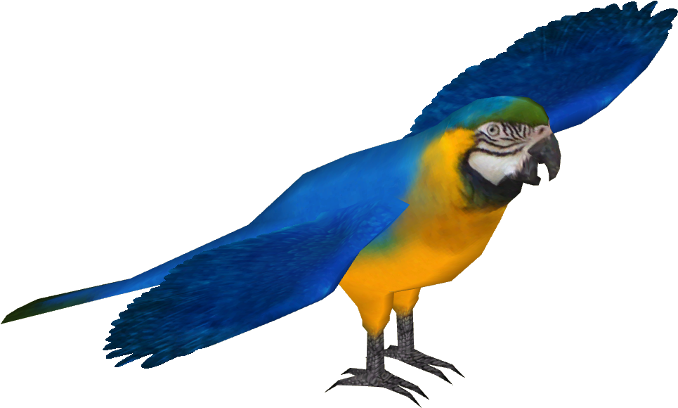 964 X 964 2 - Zoo Tycoon 2 Macaw (964x964)