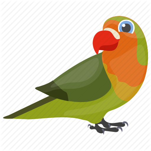512 X 512 1 - Bird Pet Cartoon (512x512)