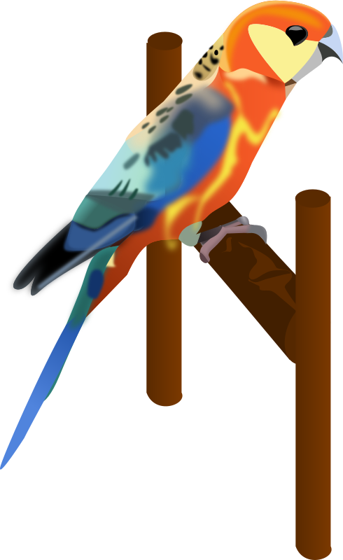 Medium Image - Burung Beo Vector (490x800)