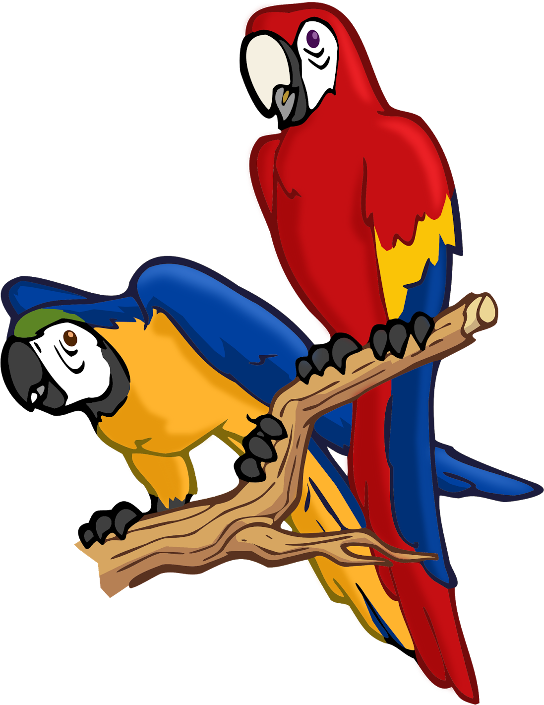 Adi Percobaan Burung Yang - Sketsa Burung Yang Sudah Diwarnai (1254x1600)