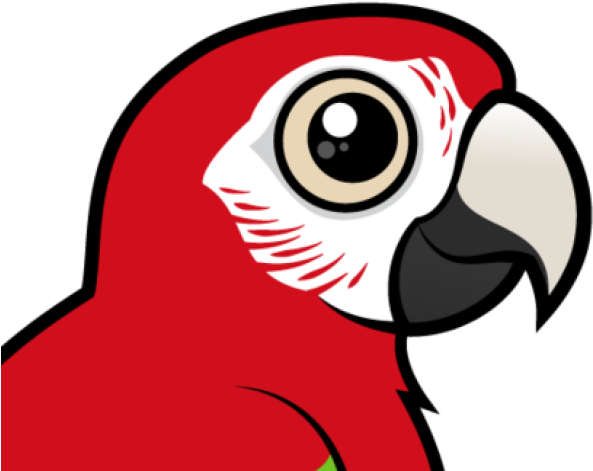 Red And Green Macaw Clipart Bird - Cute Scarlet Macaw Drawing (640x480)