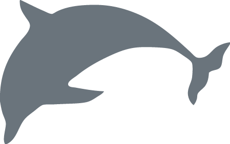 Dolphin - College Of Staten Island Dolphin (449x282)