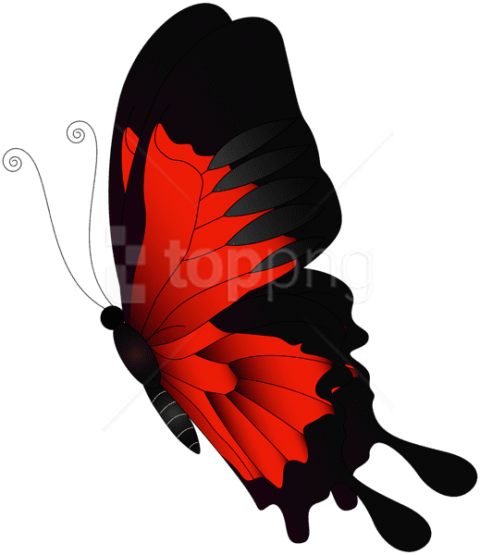 Free Png Download Red Flying Butterfly Png Clipart - Purple Butterfly Clipart Flying (480x555)