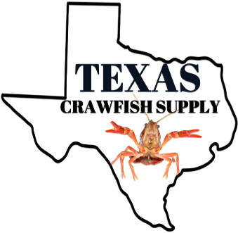 Live Texas Crawfish - King Crab (350x350)