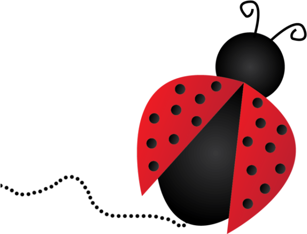 Painting Clipart Clear Background - Ladybug Png (640x480)