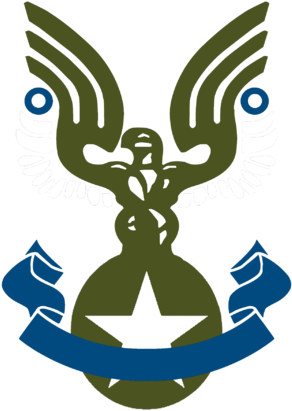 Thank You For Your Service, You Are Doing A Great Honor - Halo 3 Unsc Logo (300x424)