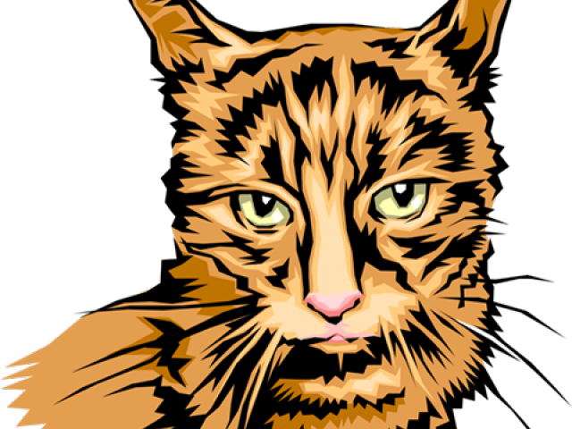 Tabby Cat Clipart Cat Head - Cat Grabs Treat (640x480)