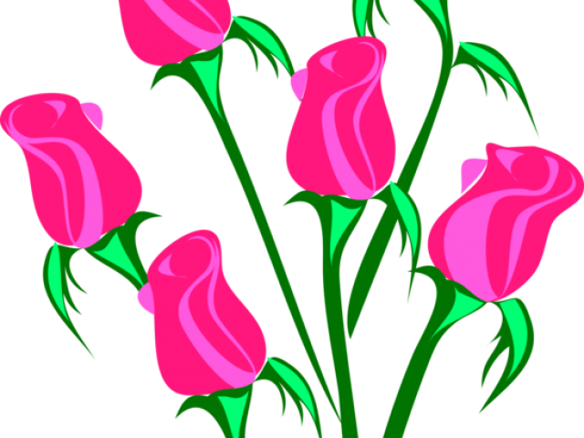 Pink Flower Clipart Rose - Roses Clip Art (640x480)
