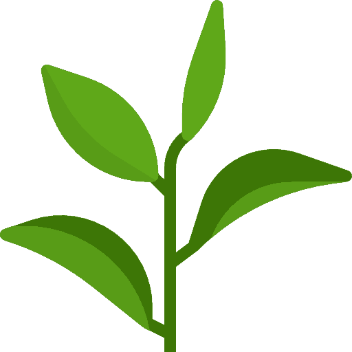 Plexus Accelerator - Green Tea Icon Png (512x512)