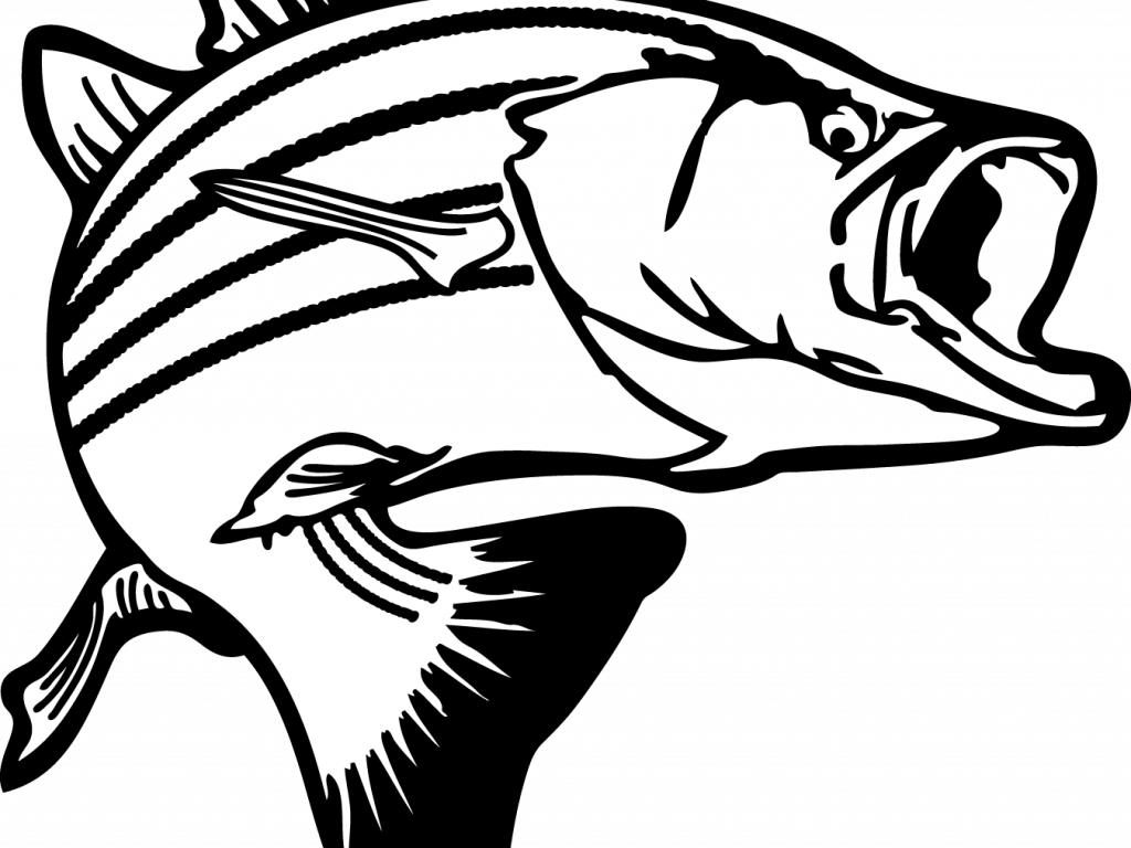 Download Clip Art Fish - Salmon Clipart Black And White (1024x768)