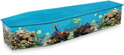 Coral Reef Coffin - Expression Coffins (448x300)