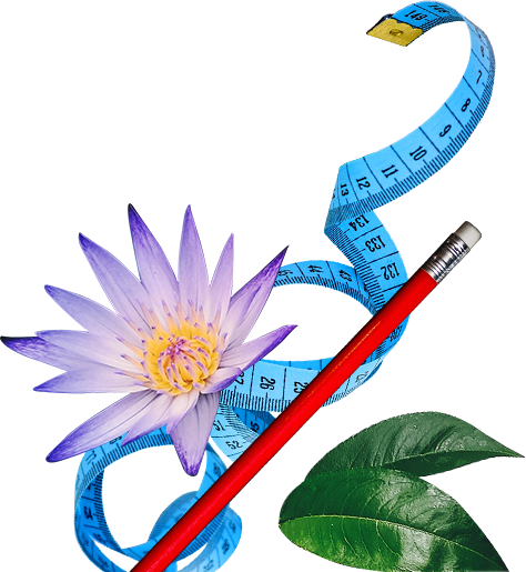 Unleash The Power Of Gtd® With Nirvana Pro - Water Lily (474x515)