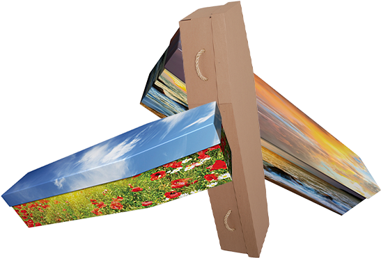 Avant-garde A Personalised Cardboard Coffin Made Of - Plywood (850x424)