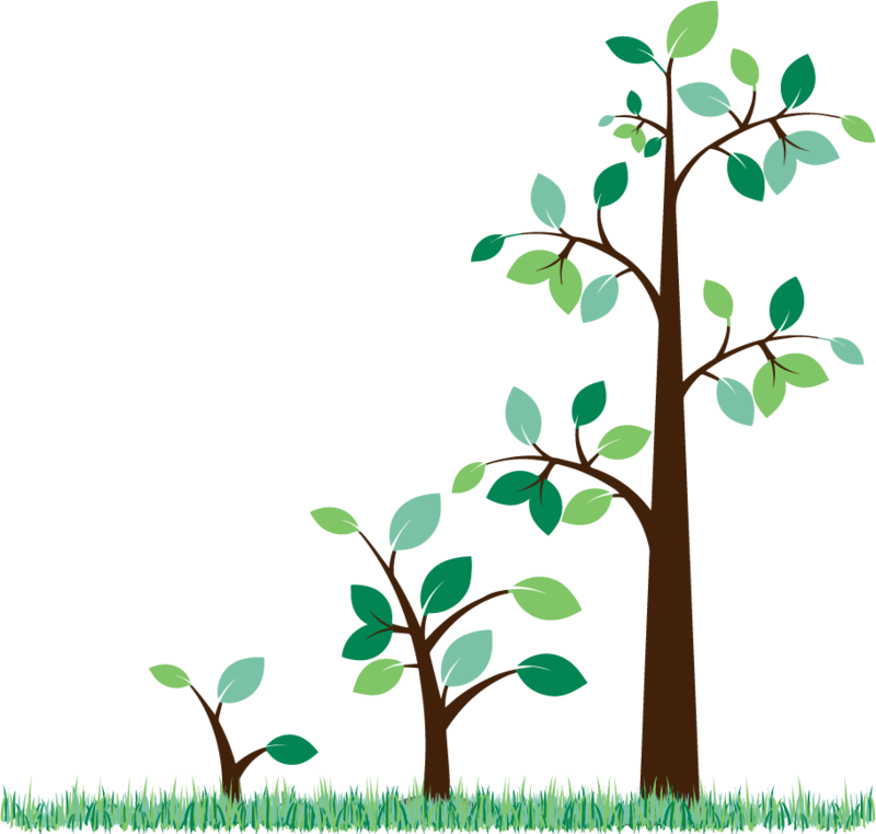 Melody Park - Melody Park (800x762)