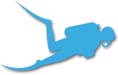 Online Dive Logs - Beach Activities Png (496x324)