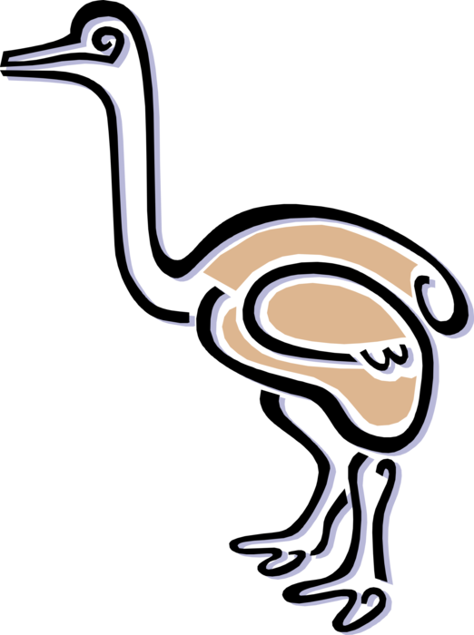Vector Illustration Of Flightless African Ostrich Bird - Vector Illustration Of Flightless African Ostrich Bird (522x700)