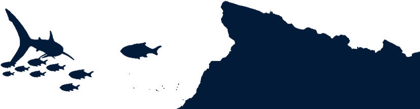 We Only Train Interns For Whom The Technical Diving - Silhouette (1024x304)