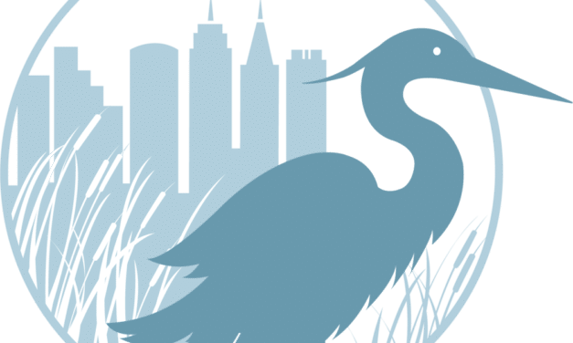 Blue Heron Nature Preserve Receives Wetland Restoration - Ciconiiformes (627x376)