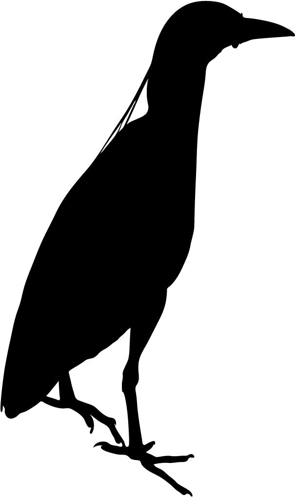 Yellow Crowned Night Heron - Yellow Crowned Night Heron Silhouette (1024x1024)