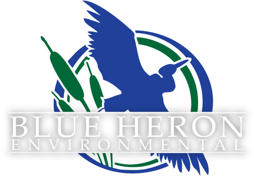 Logo Blue Heron Full W - Graphic Design (900x659)