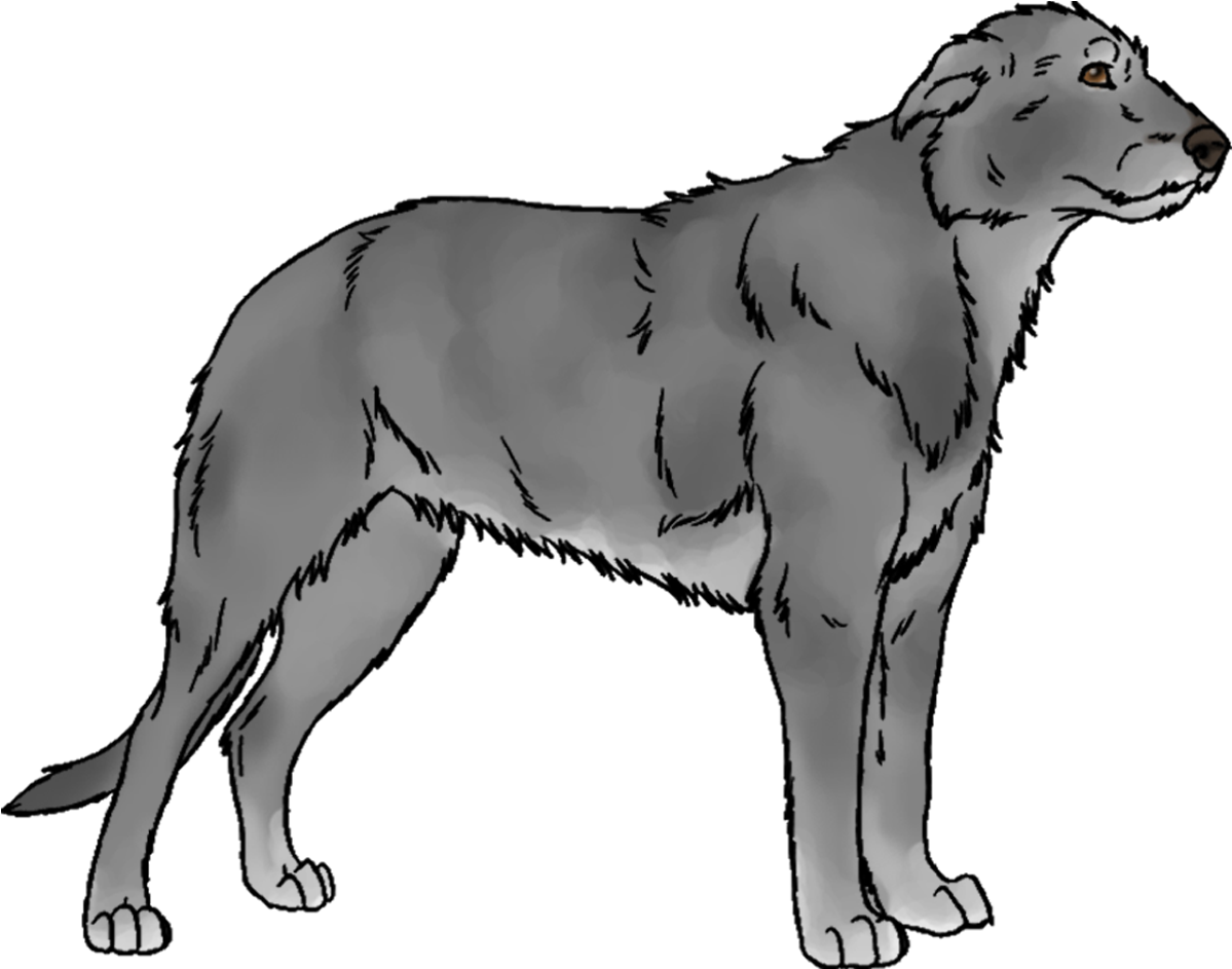 60 Minute Walk - Slovak Cuvac (1221x966)