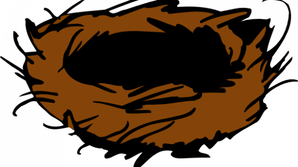 Jpg Bird Nest Clipart - Bird Nest Clip Art (585x329)