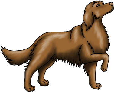 E / Back To Top - Golden Retriever (396x333)