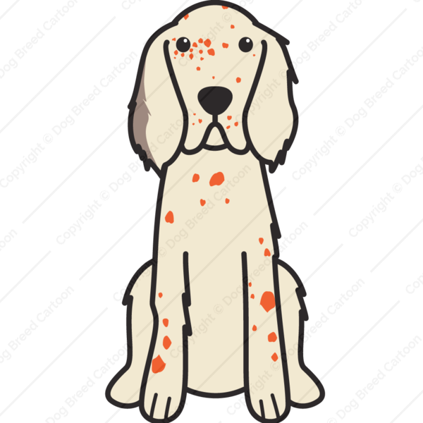 English Setter Cartoon - Perro Animado Blanco Y Negro (600x600)