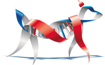 Identification Scc-500 - Adn Chien (500x500)