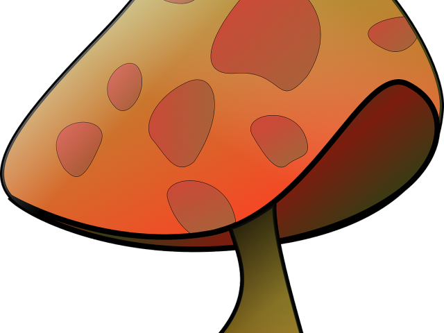 Mushroom Clipart Decomposer - Mushroom Clip Art (640x480)