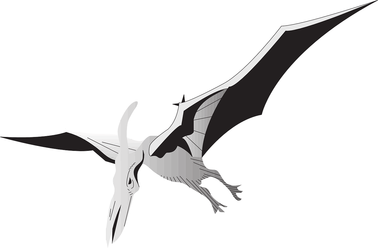 A Black And White Graphic Of A Pterodactyl In Flight - Pterodactyl Clipart Png (1280x840)