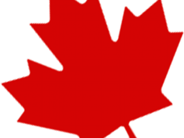 Canada Maple Leaf Png Transparent Images - Transparent Maple Leaf Png (640x480)