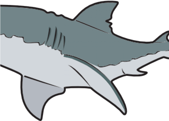 Great White Shark Clipart Tiger Shark - Clip Art (640x480)