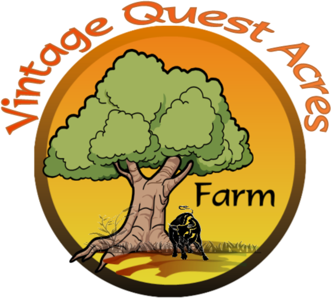 Vintage Quest Acres Is An Old - Illustration (1200x1050)