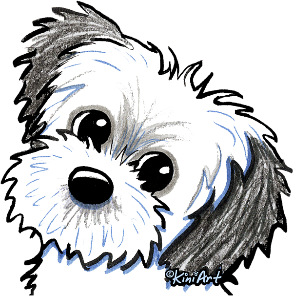 Bleed Area May Not Be Visible - Maltese Shih Tzu Simple Drawing (600x633)