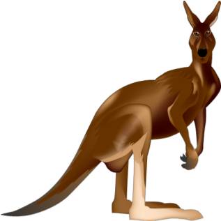Kangaroo - Kangaroo (352x352)