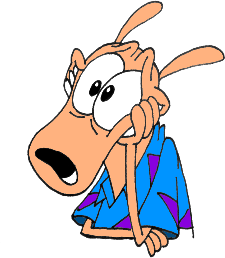 Rocko's Modern Life Rocko Wallaby - Rocko Modern Life Pngs (844x947)