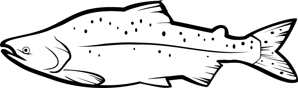 1000 X 296 8 - King Salmon Clipart Black And White (1000x296)