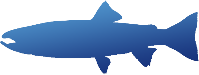 Cutthroat Trout - Shark (639x240)