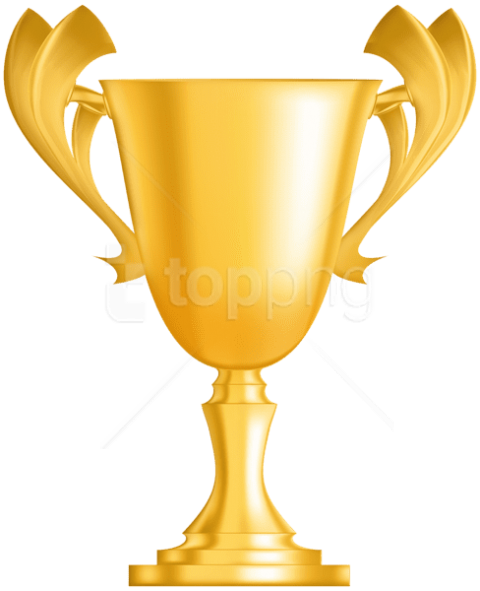 Free Png Gold Cup Trophy Png Images Transparent - Clipart Trophy Cup Silver Png (480x591)