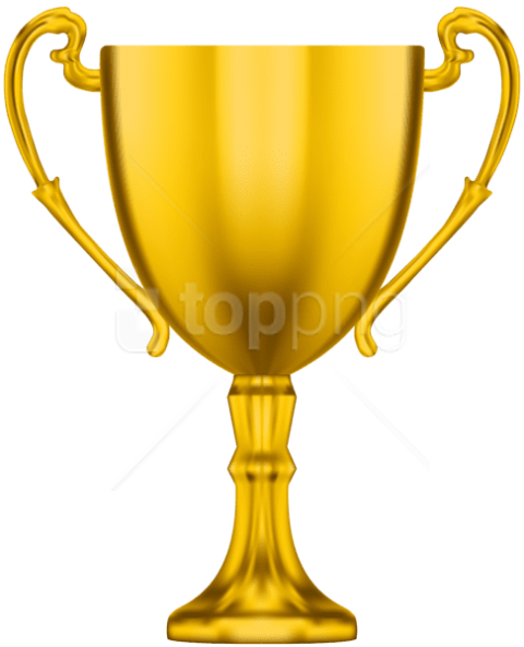 Free Png Award Cup Gold Png Images Transparent - Trophy (480x593)
