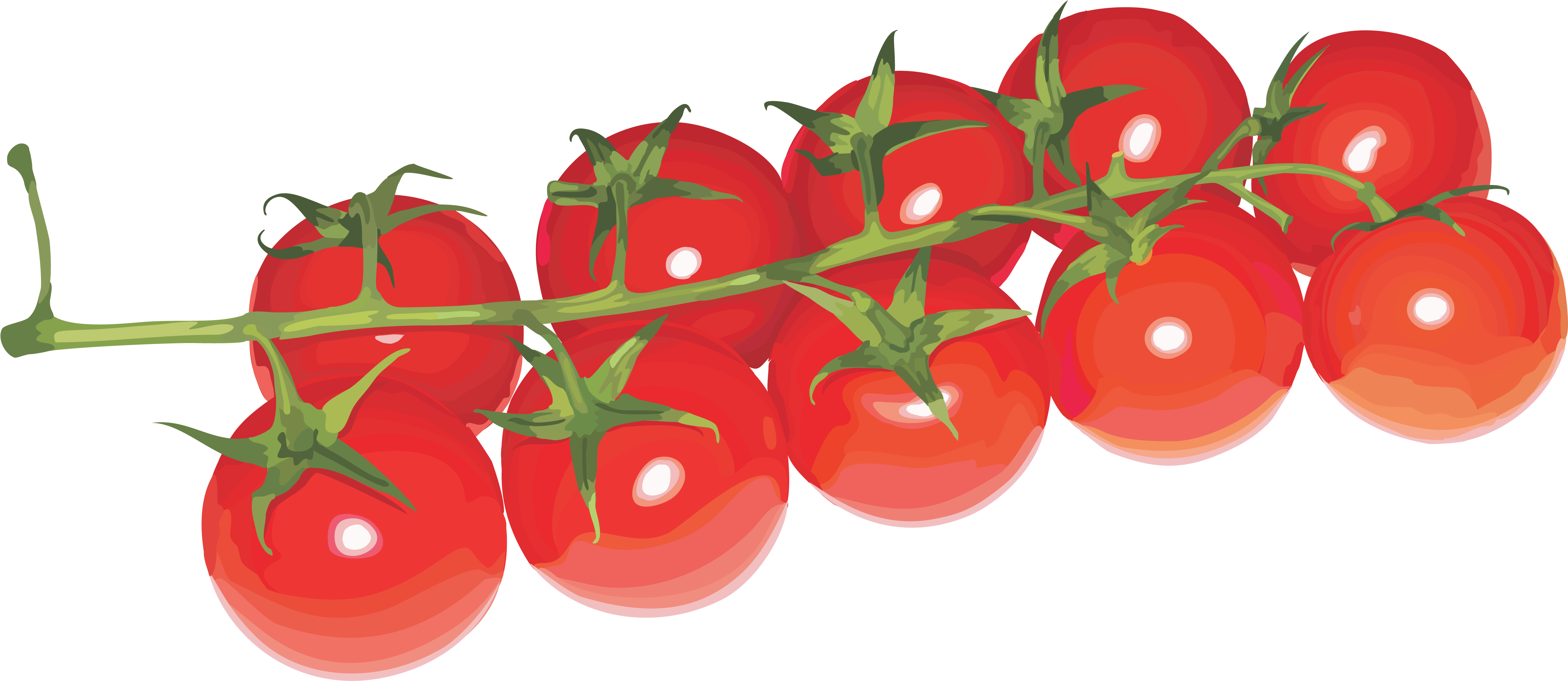 Red Tomatoes - Cherry Tomato Plant Png (5000x2223)