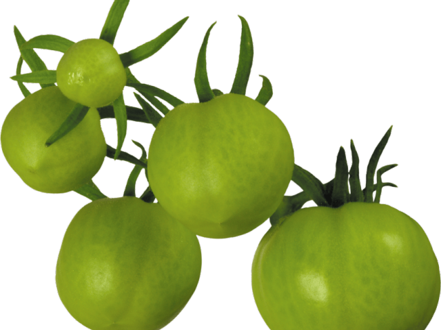 Cherry Tomato Clipart Object - Green Tomato Png (640x480)