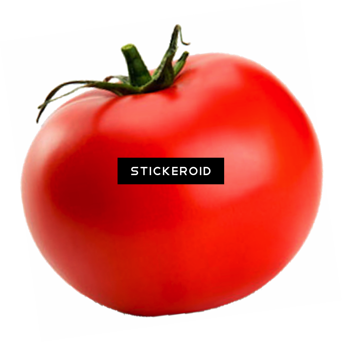 Tomato Clip Art - Tomato (1155x1156)