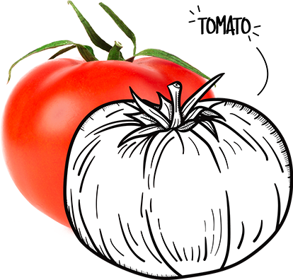 Tomaat - Cherry Tomatoes (414x396)